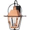 Quoizel Rue De Royal Outdoor Wall Lantern RO8418AC - alternate 2